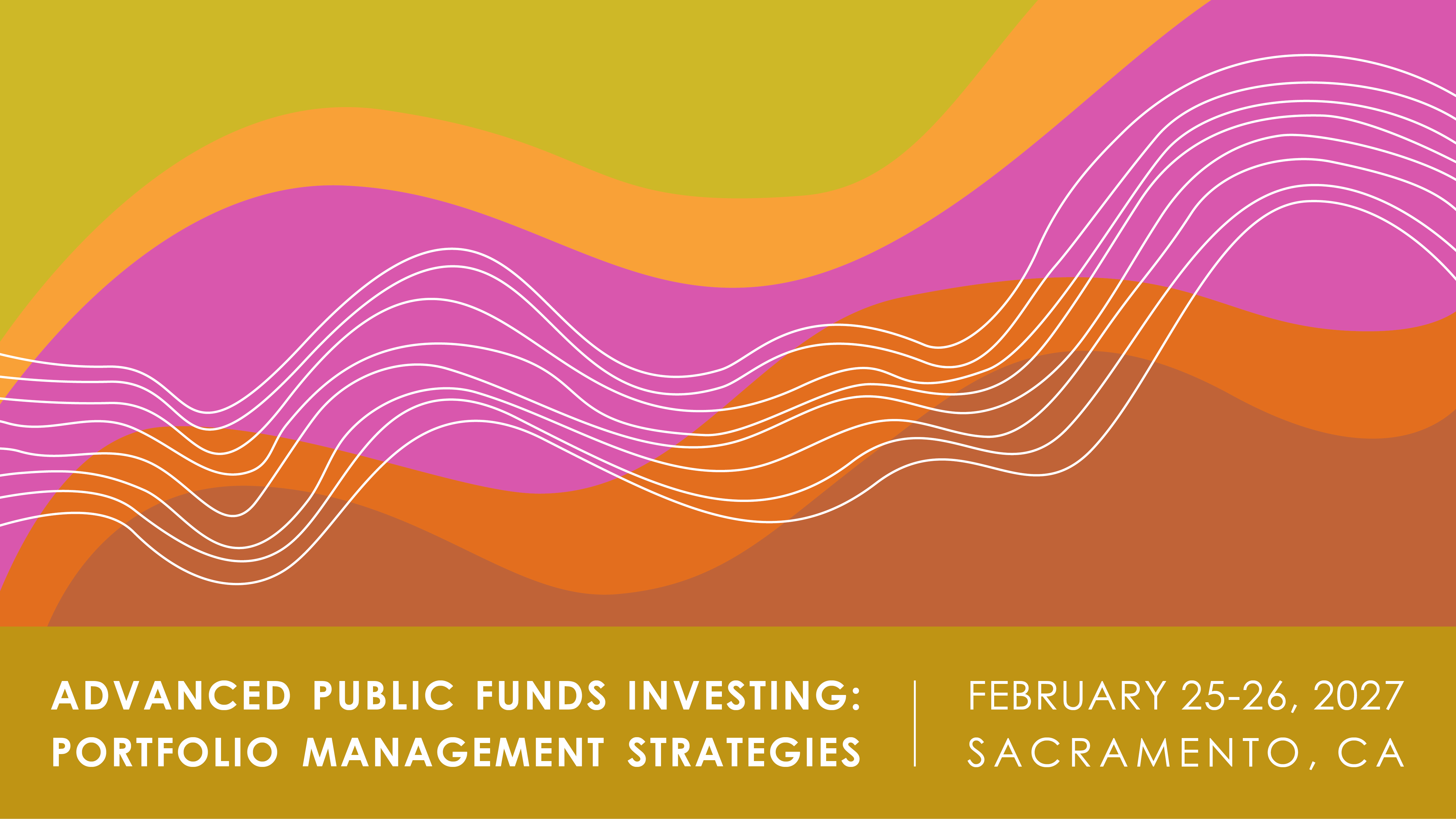 Advanced Public Funds Investing: Portfolio Management Strategies